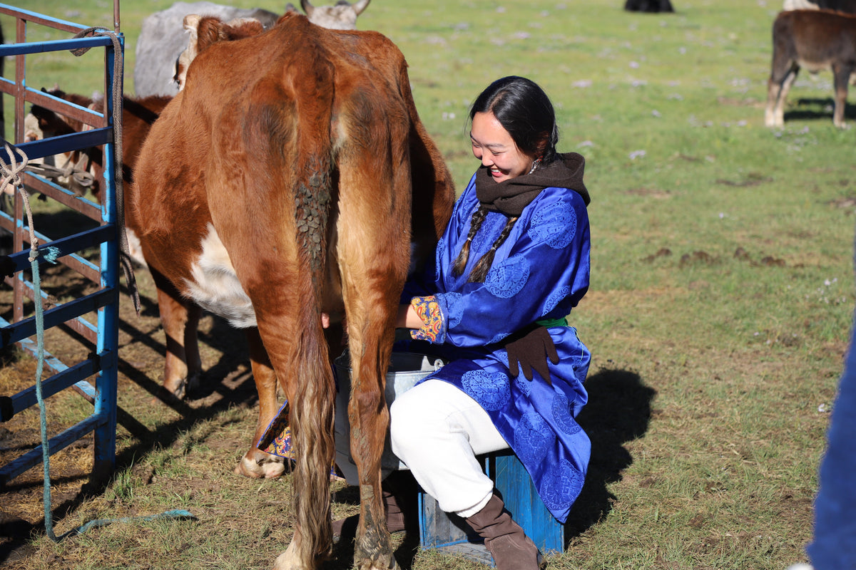 Meet the Yak Behind the Down