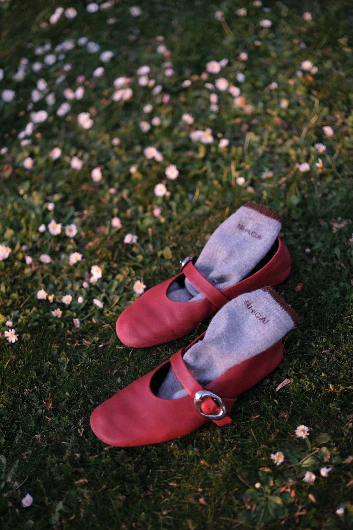 90% sheep wool socks