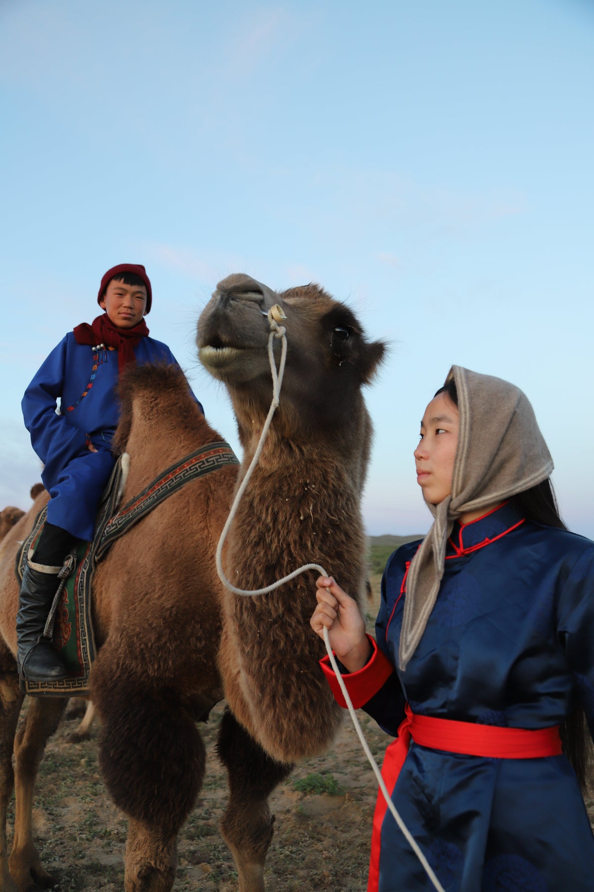 Khangai Collection