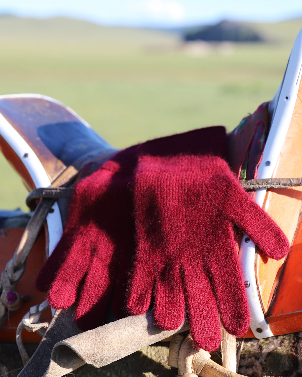 Bulgan Gloves - Women's
