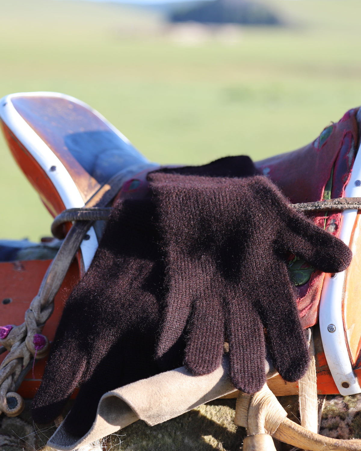 Bulgan Gloves - Women's