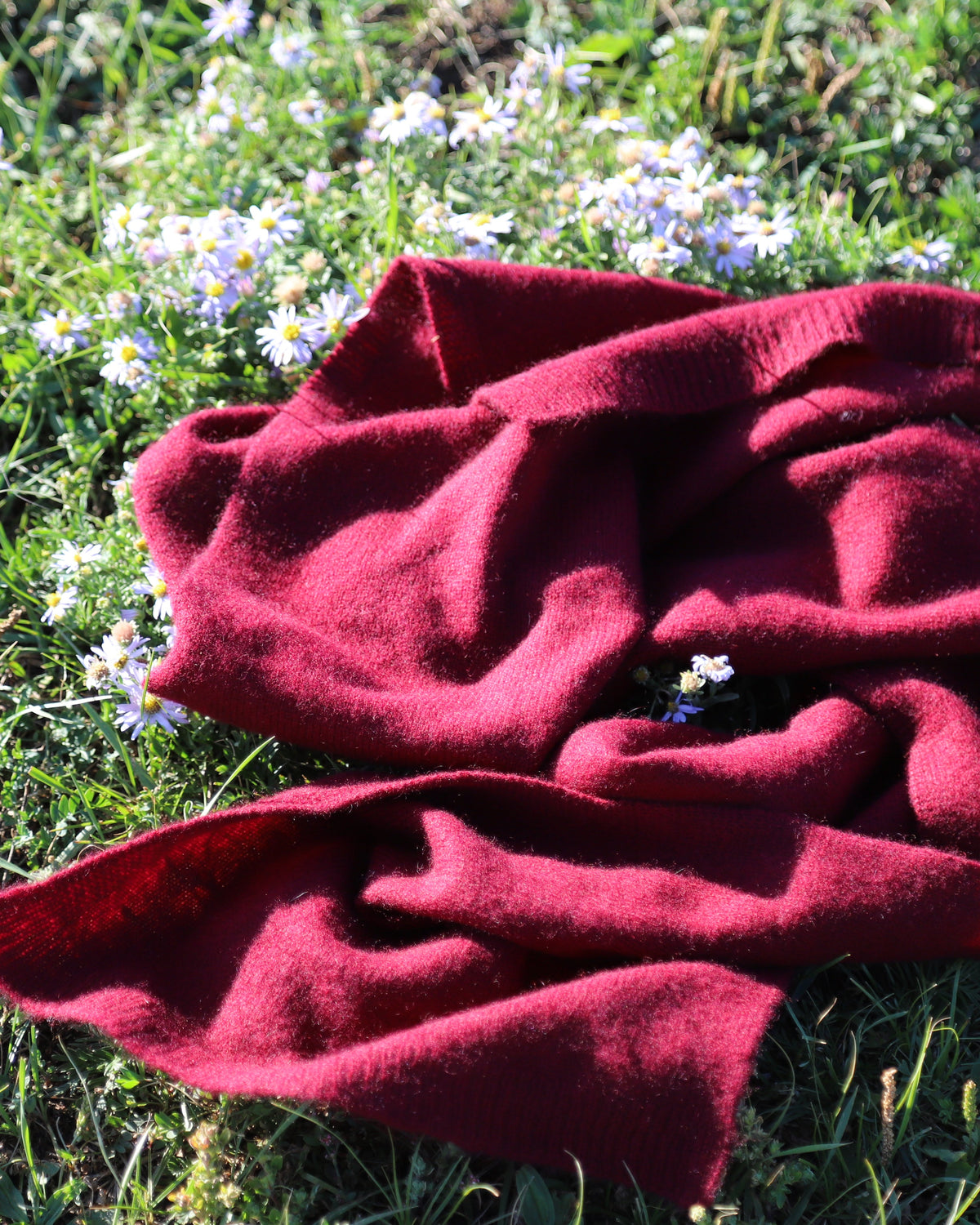 Tamir Scarf