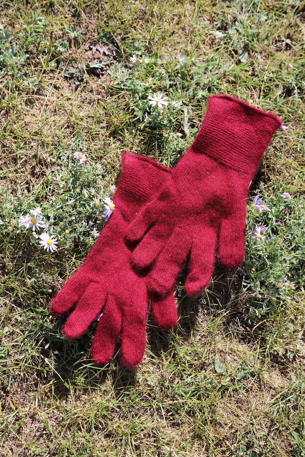 Bulgan Gloves - Women's