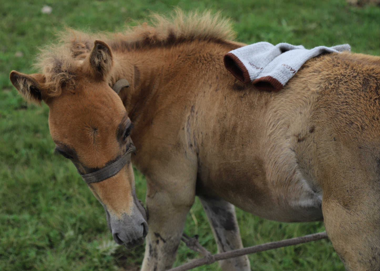 Bundle & Save: Two Pairs