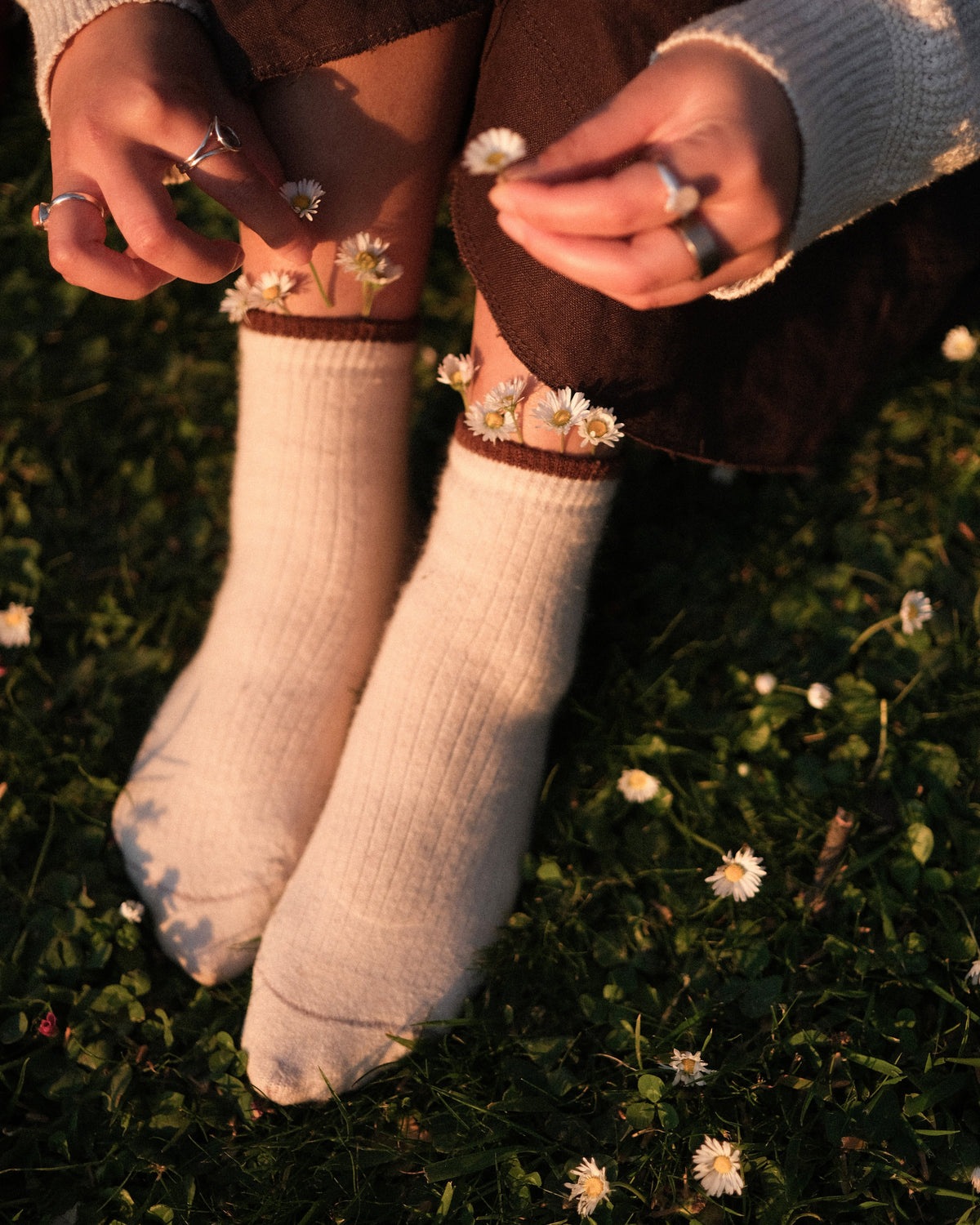 Shagai socks