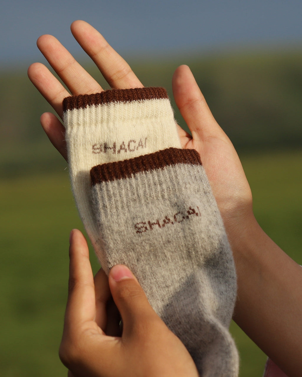 Shagai socks
