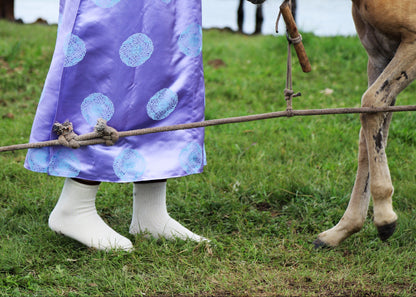 100% sheep wool socks